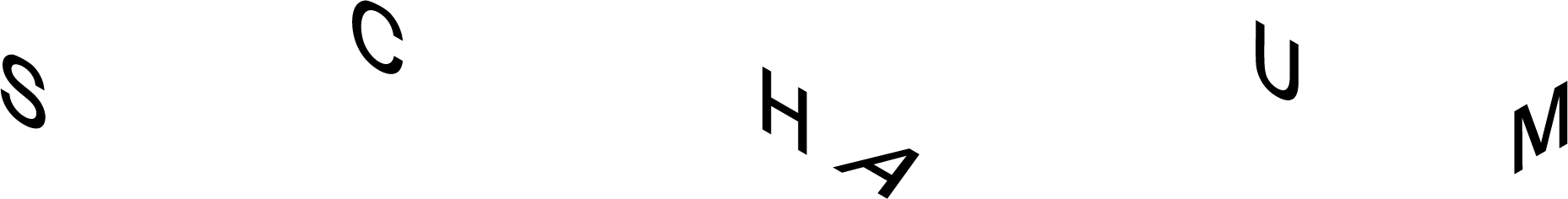 SCH-Logo-Wide SCH-Logo-Wide